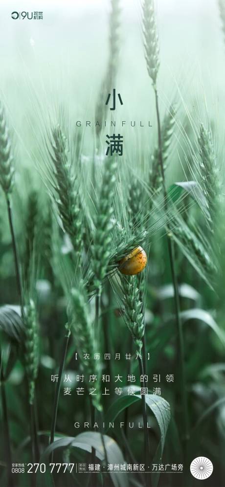 源文件下載【小滿節氣海報】編號：59920000854682265