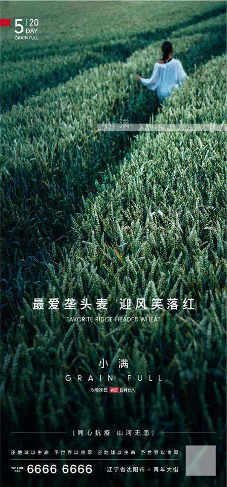 源文件下载【小满清新节气海报】编号：15380000908993262