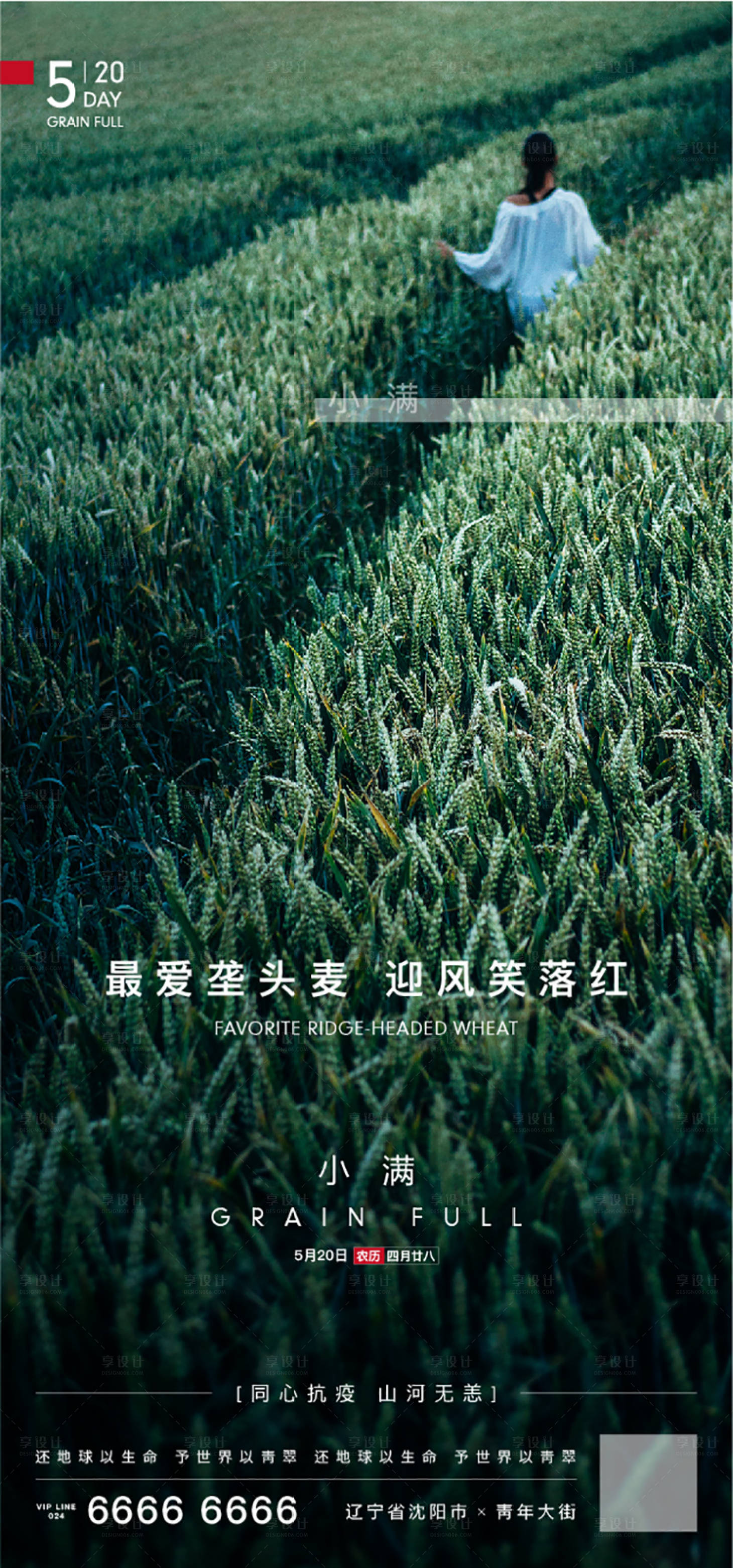 源文件下载【小满清新节气海报】编号：15380000908993262
