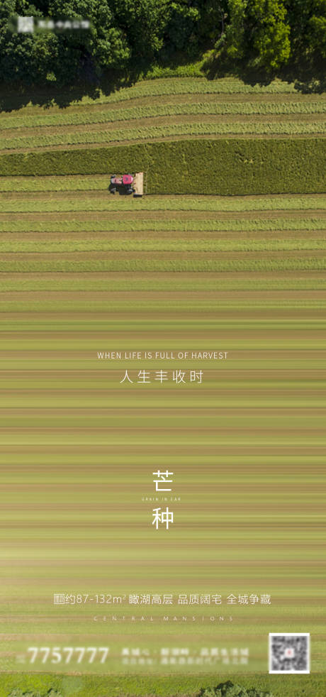 源文件下載【房地產芒種節氣海報】編號：11820000962687648