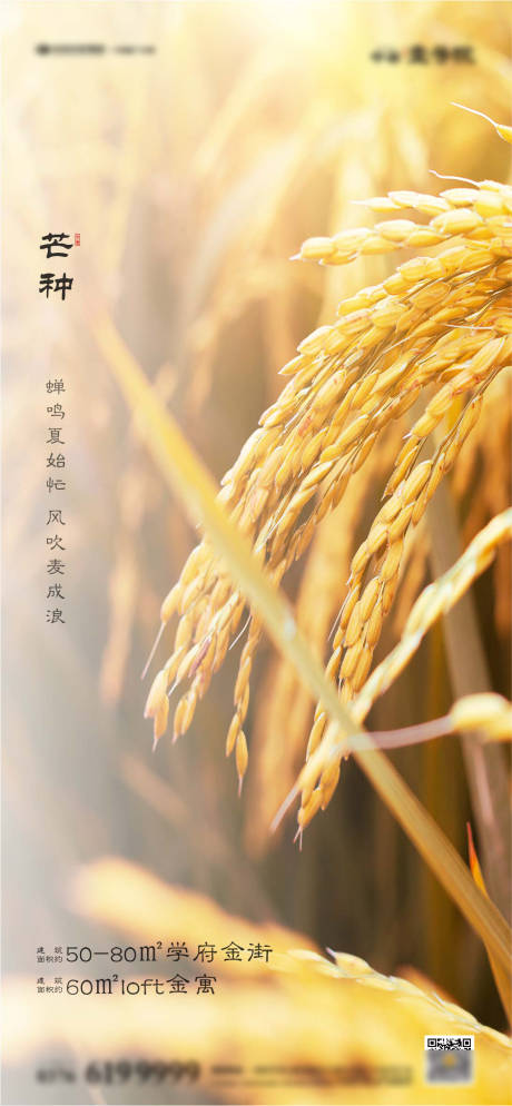 源文件下载【芒种海报】编号：91080000850087322