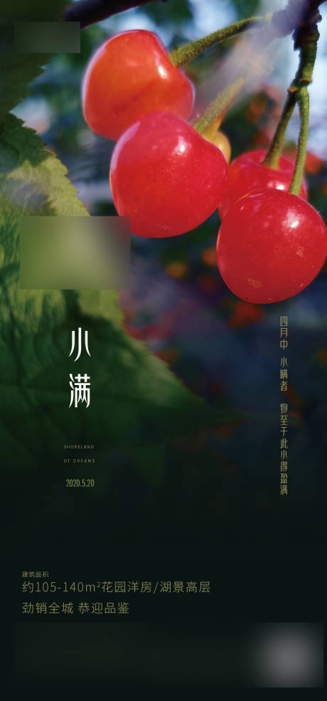 源文件下载【地产小满节气移动端海报】编号：86910000910193878