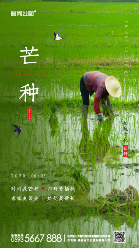 泼不完的悲伤