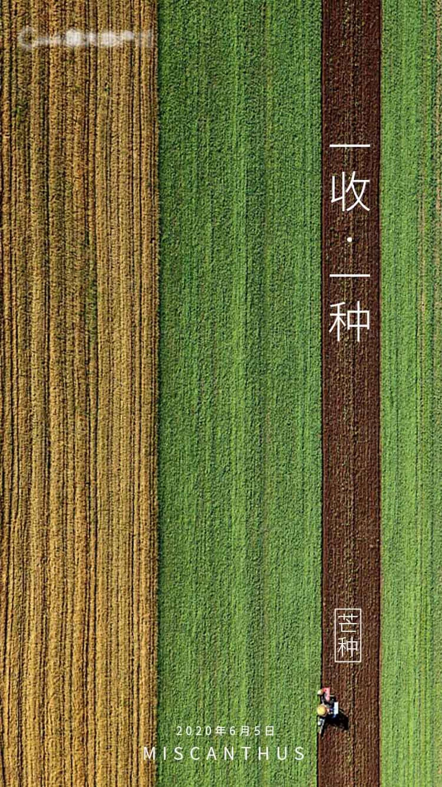 源文件下載【享設(shè)計(jì)】搜索編號(hào)：46600000981336590【芒種節(jié)氣】