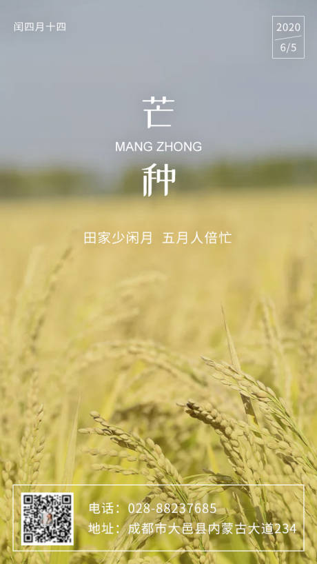源文件下载【芒种节气稻田简约海报】编号：95560001015511947