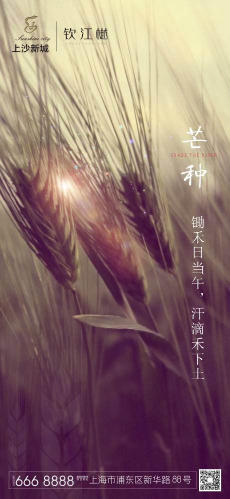源文件下載【芒種】編號(hào)：32210000985623907