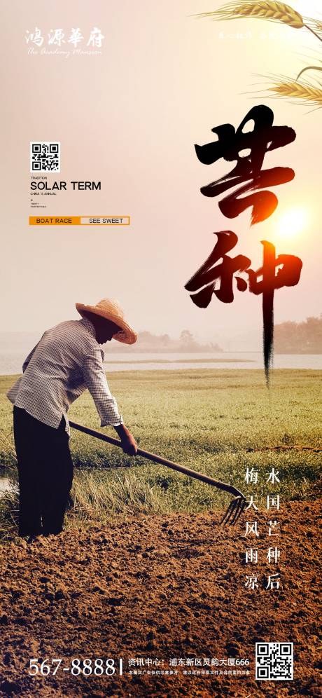 源文件下载【地产简约传统节日芒种节气海报】编号：98800000949102476