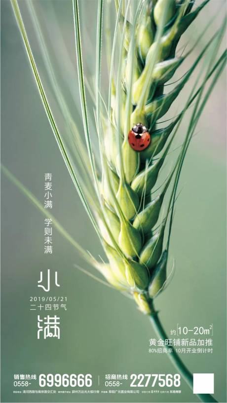 源文件下載【地產(chǎn)二十四節(jié)氣小滿海報】編號：65440000892586819