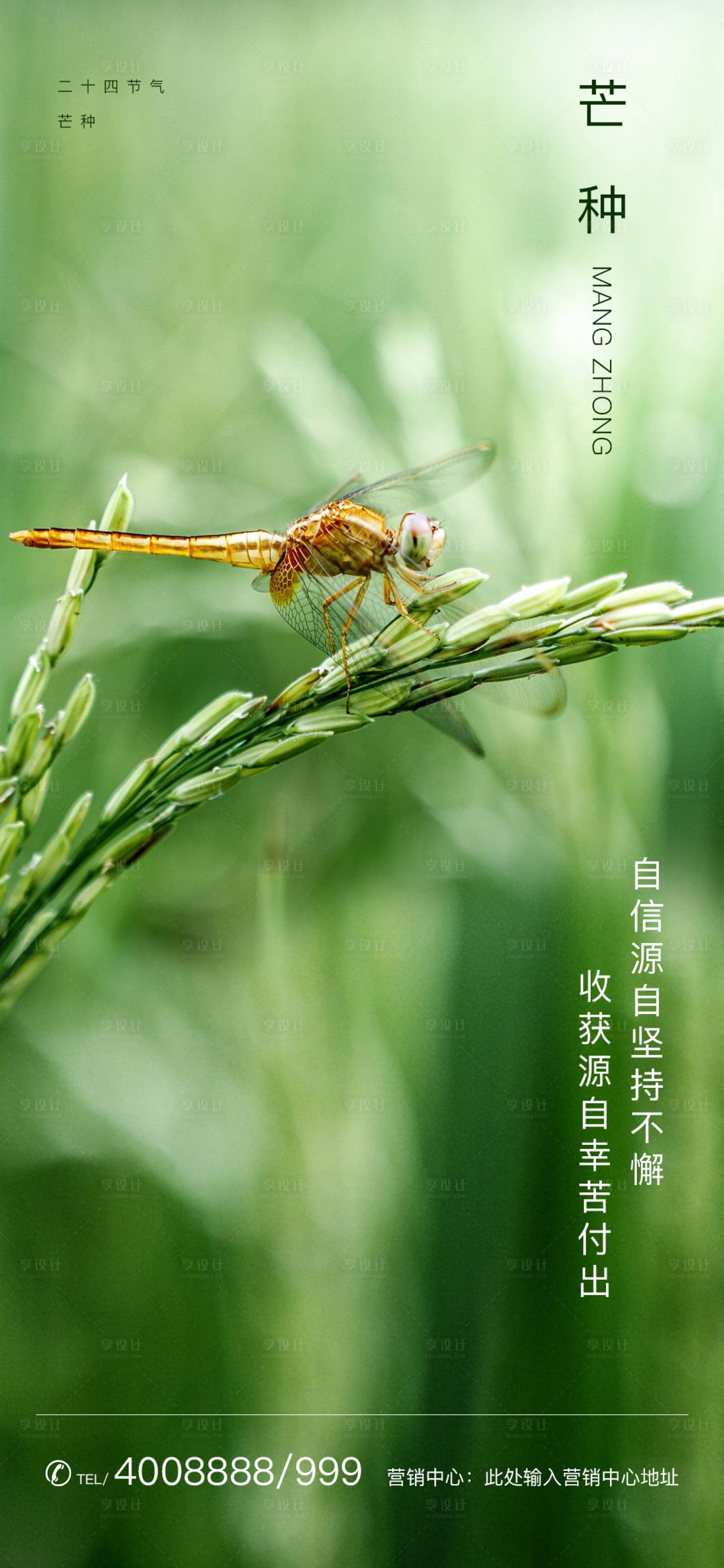 源文件下载【芒种节气海报】编号：67860000949615771