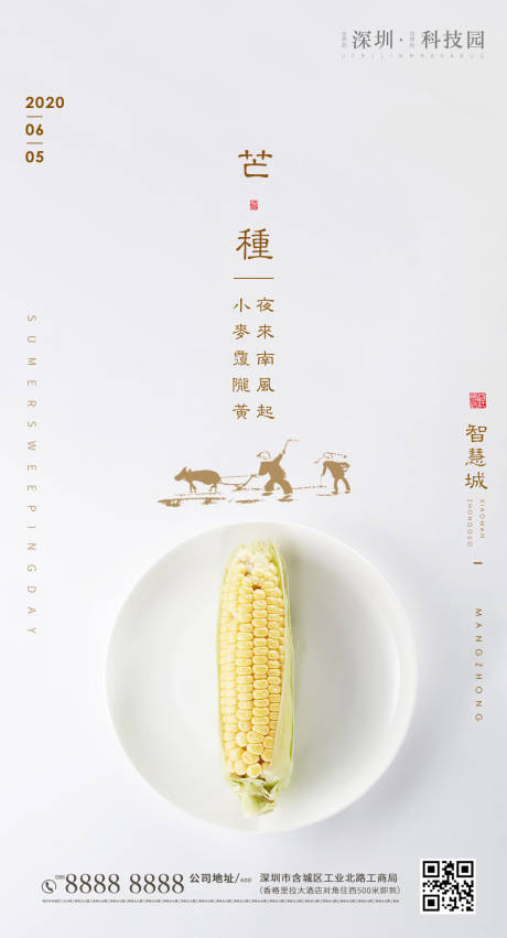 源文件下載【享設計】搜索編號：70800001016302384【芒種海報】