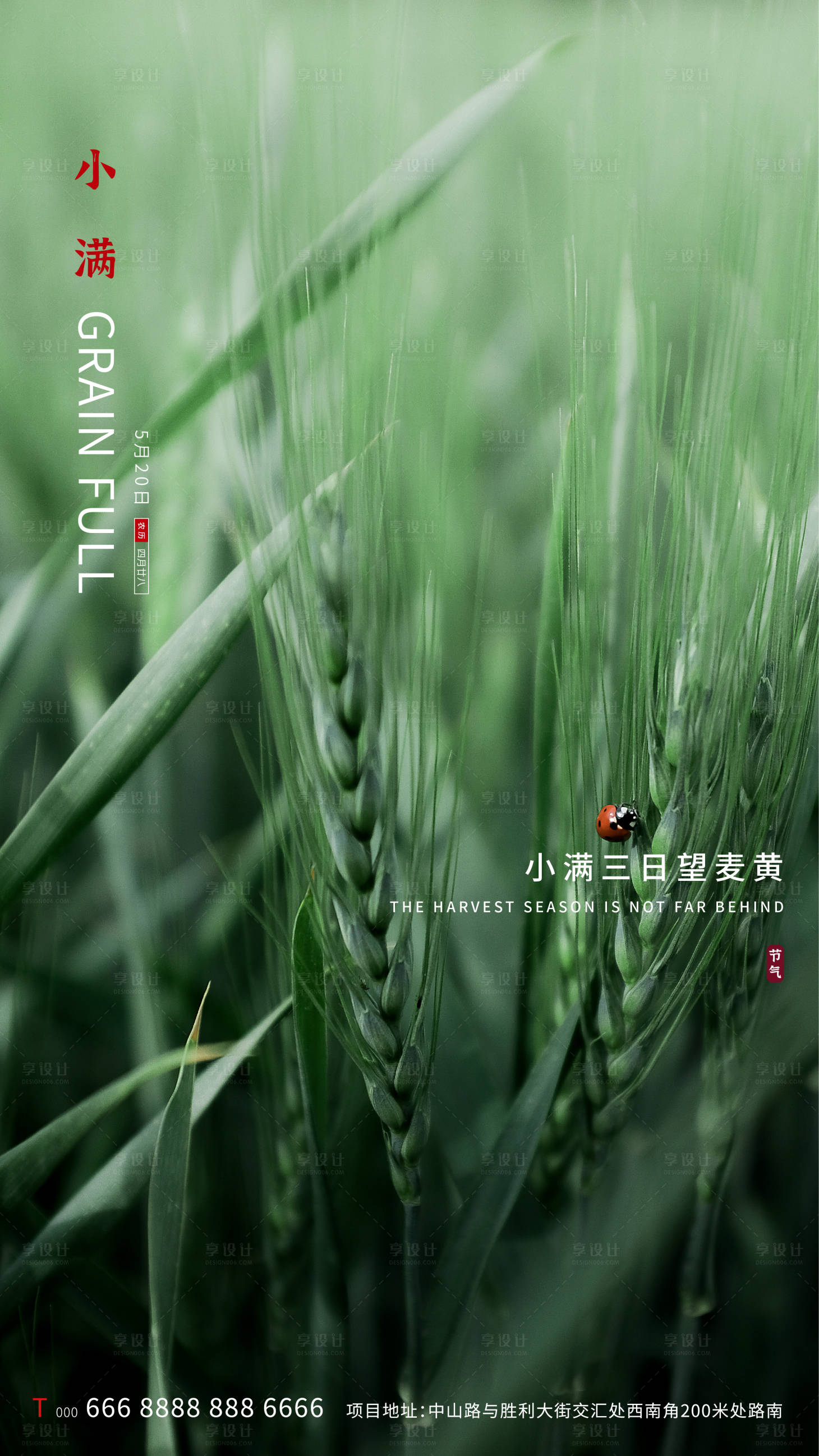 源文件下载【地产小满节气海报】编号：48860000892261867