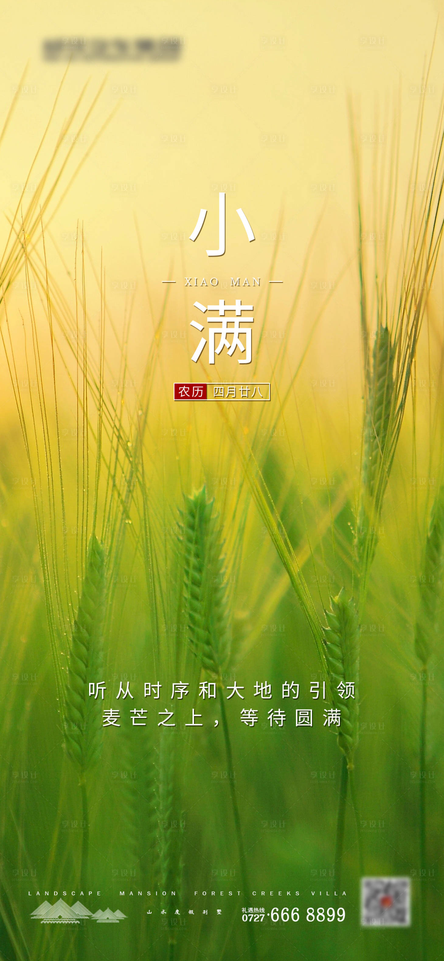 源文件下载【小满节气移动端海报】编号：56590000915943323
