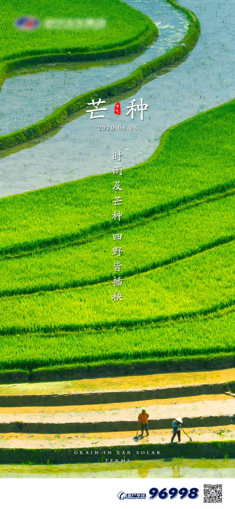 源文件下载【芒种节气移动端海报】编号：78760000993239162