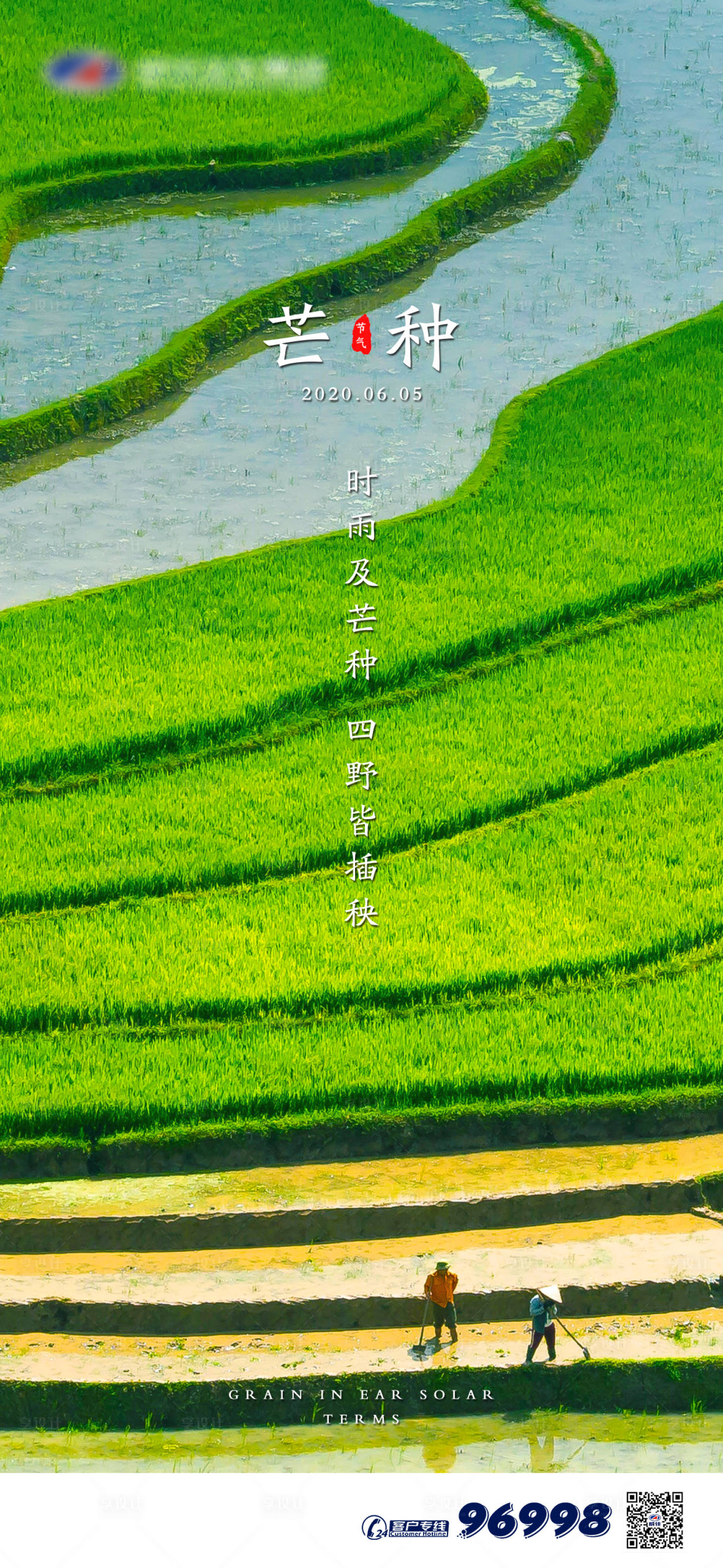 源文件下载【享设计】搜索编号：78760000993239162【芒种节气移动端海报】