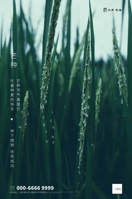 源文件下载【芒种节气海报】编号：52180000856778503