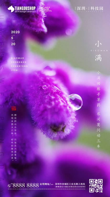 源文件下載【享設計】搜索編號：59590000916165910【二十四節氣之小滿海報】