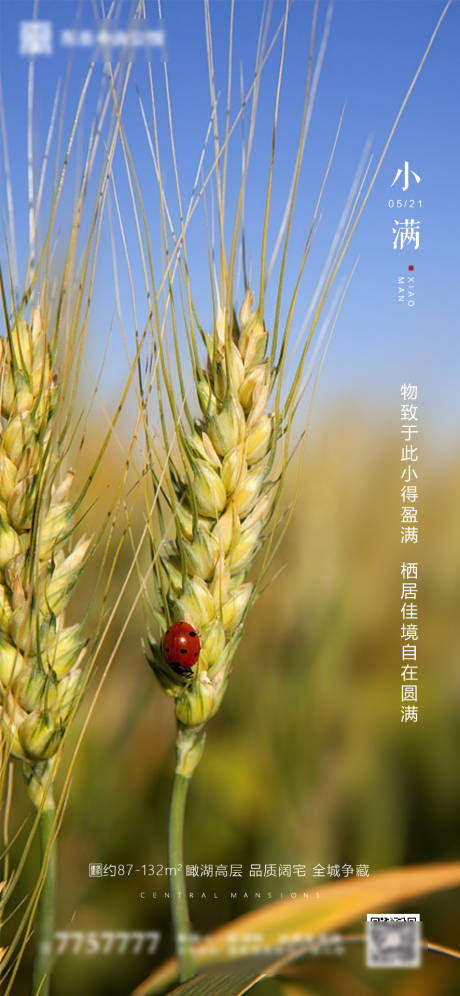 源文件下载【享设计】搜索编号：33920000857989180【地产小满节气海报】