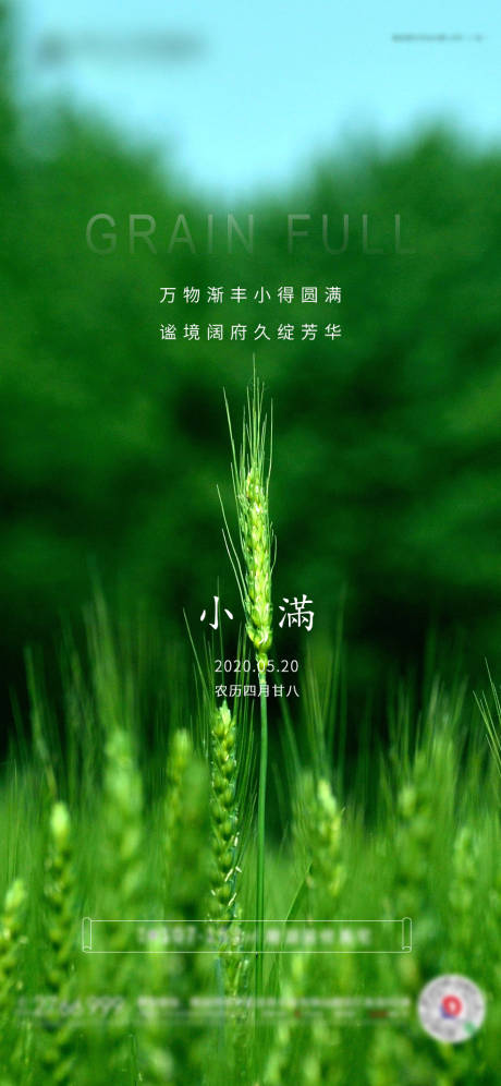 源文件下载【小满二十四节气海报】编号：13260000889287348
