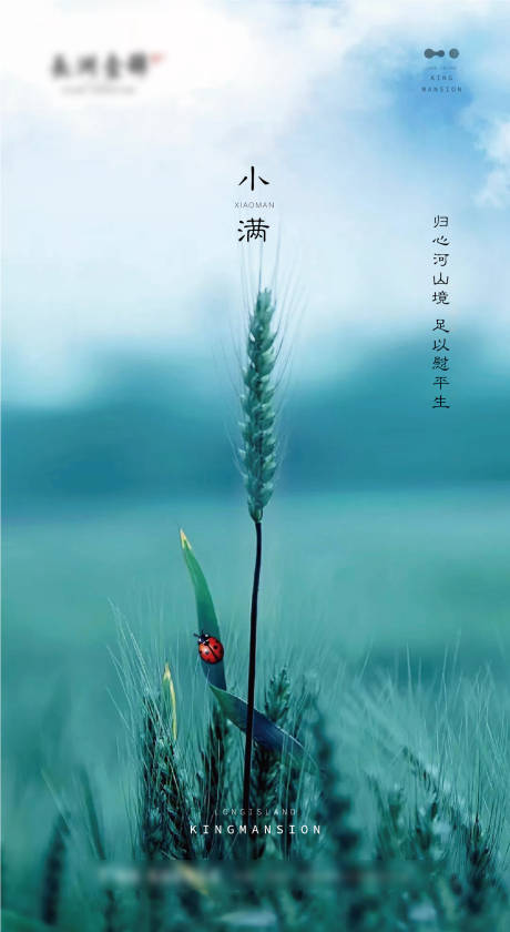 源文件下载【二十四节气小满微信海报】编号：60420000879827005