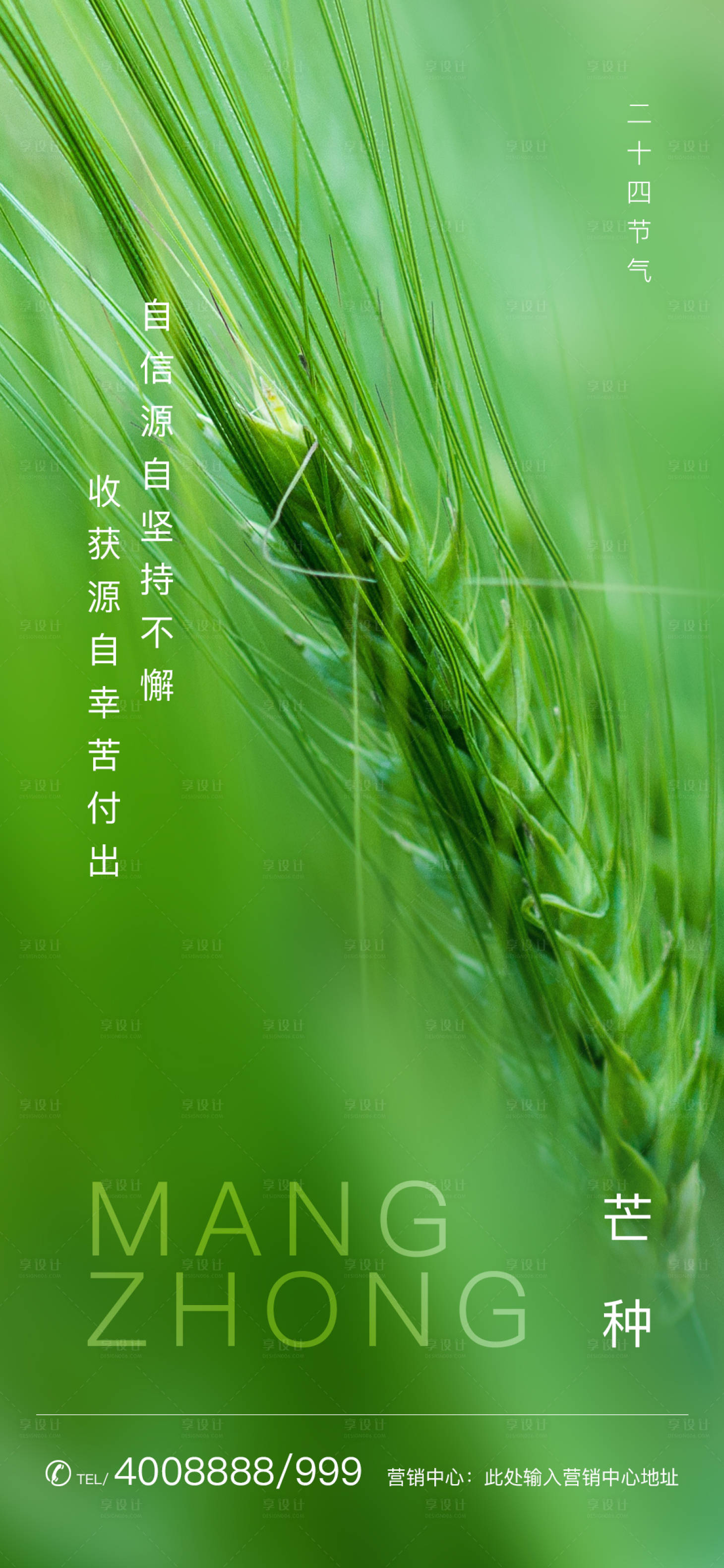 源文件下載【享設計】搜索編號：49560000955257356【綠色麥穗特寫芒種節(jié)氣海報】