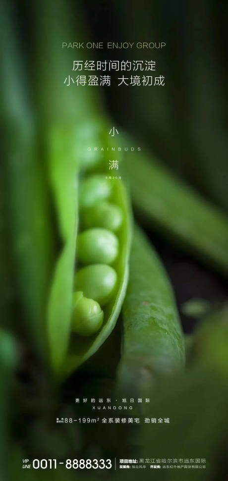 源文件下载【小满微信】编号：74380000918267398
