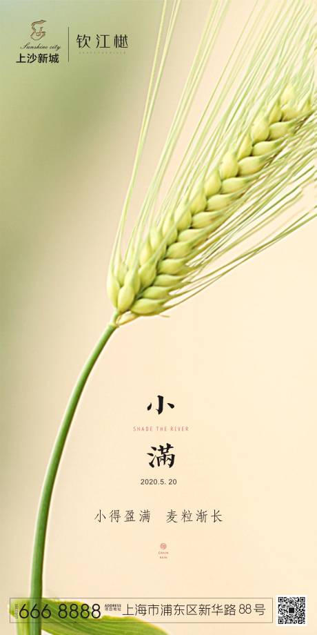 源文件下载【小满节气移动端海报】编号：79350000908117827