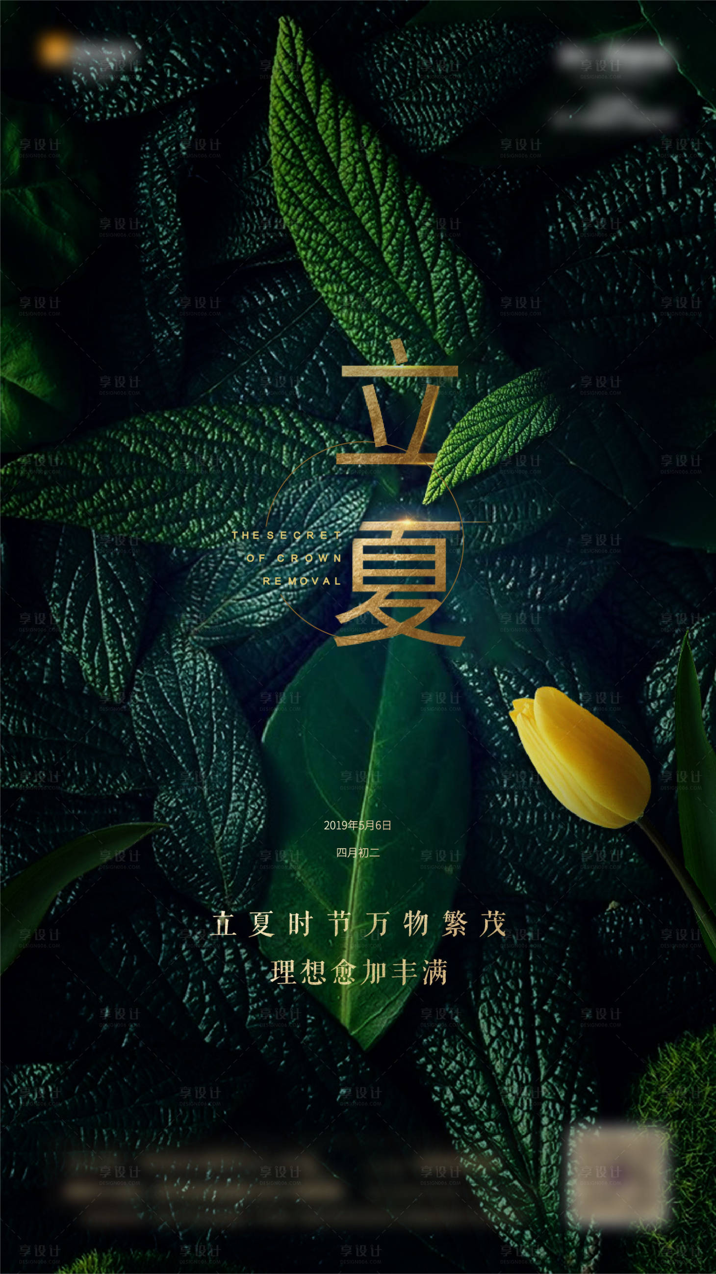源文件下載【地產(chǎn)立夏節(jié)氣海報(bào)】編號(hào)：64970000825236548