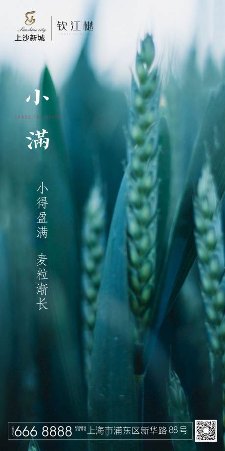 源文件下载【小满节气移动端海报】编号：96160000908102298