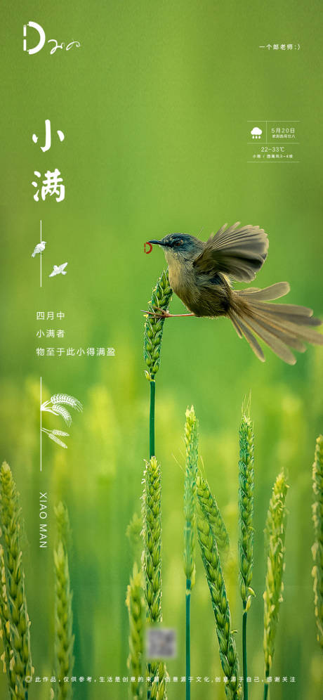 源文件下载【房地产小满节气海报】编号：98320000824394449
