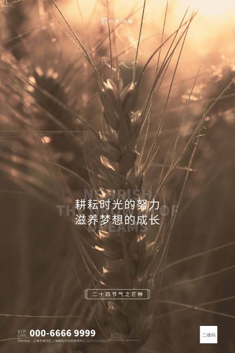 源文件下載【芒種寫實麥田金棕色海報】編號：46570000904467060