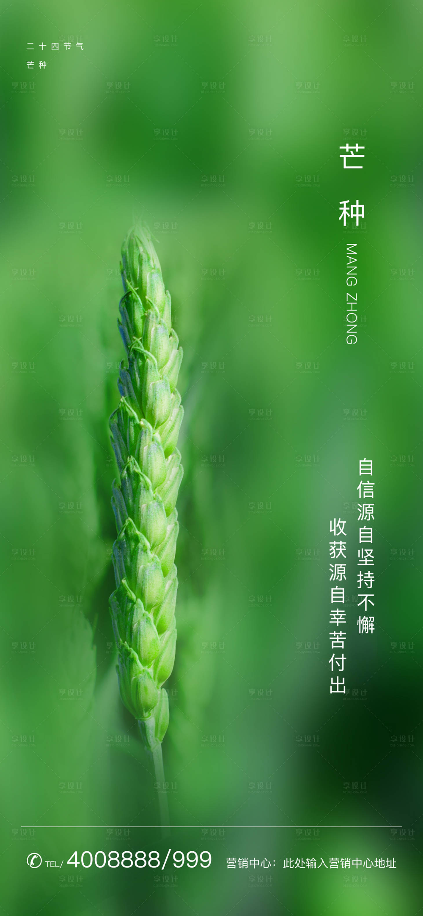 源文件下载【享设计】搜索编号：36170000947836595【芒种节气移动端海报】