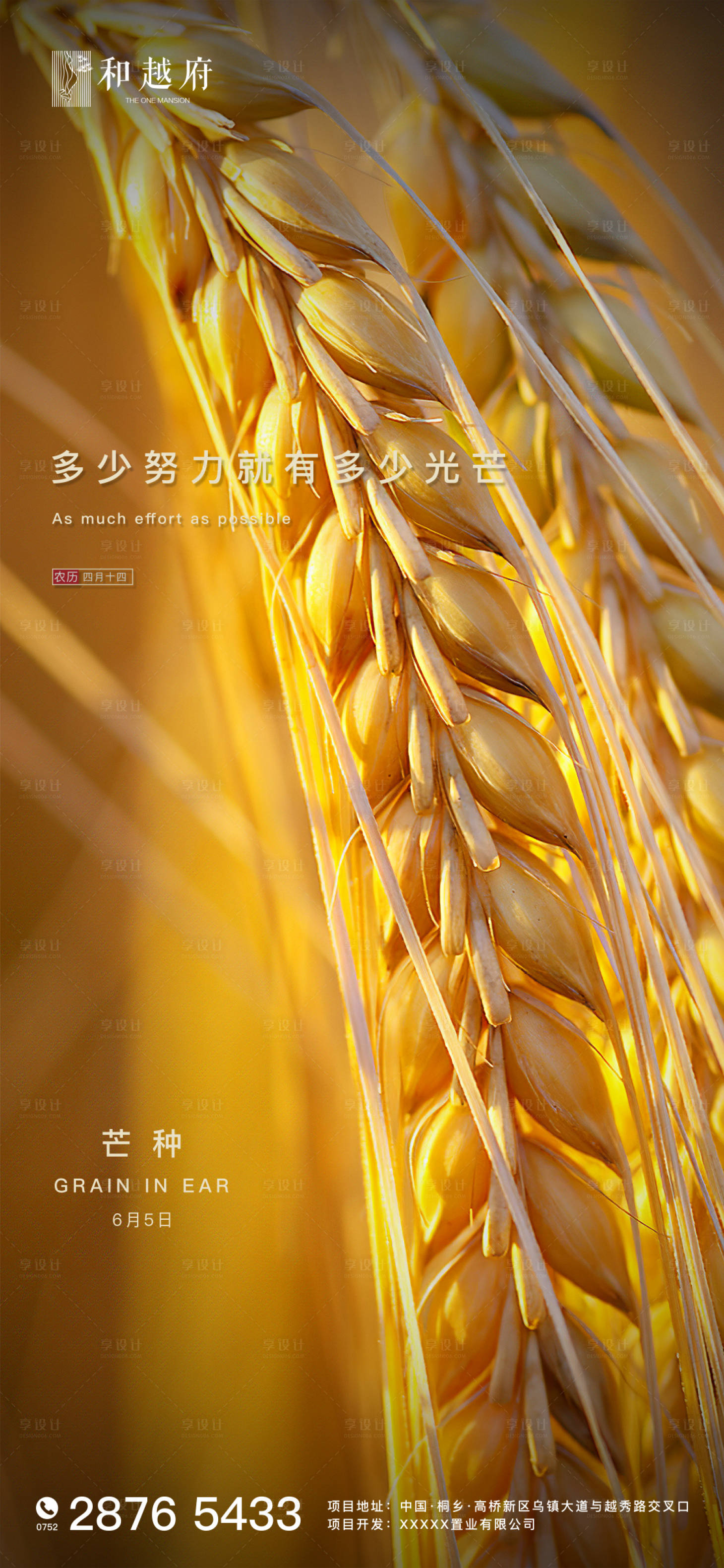 源文件下載【享設計】搜索編號：10920000920723217【大氣簡約房地產芒種節氣海報】