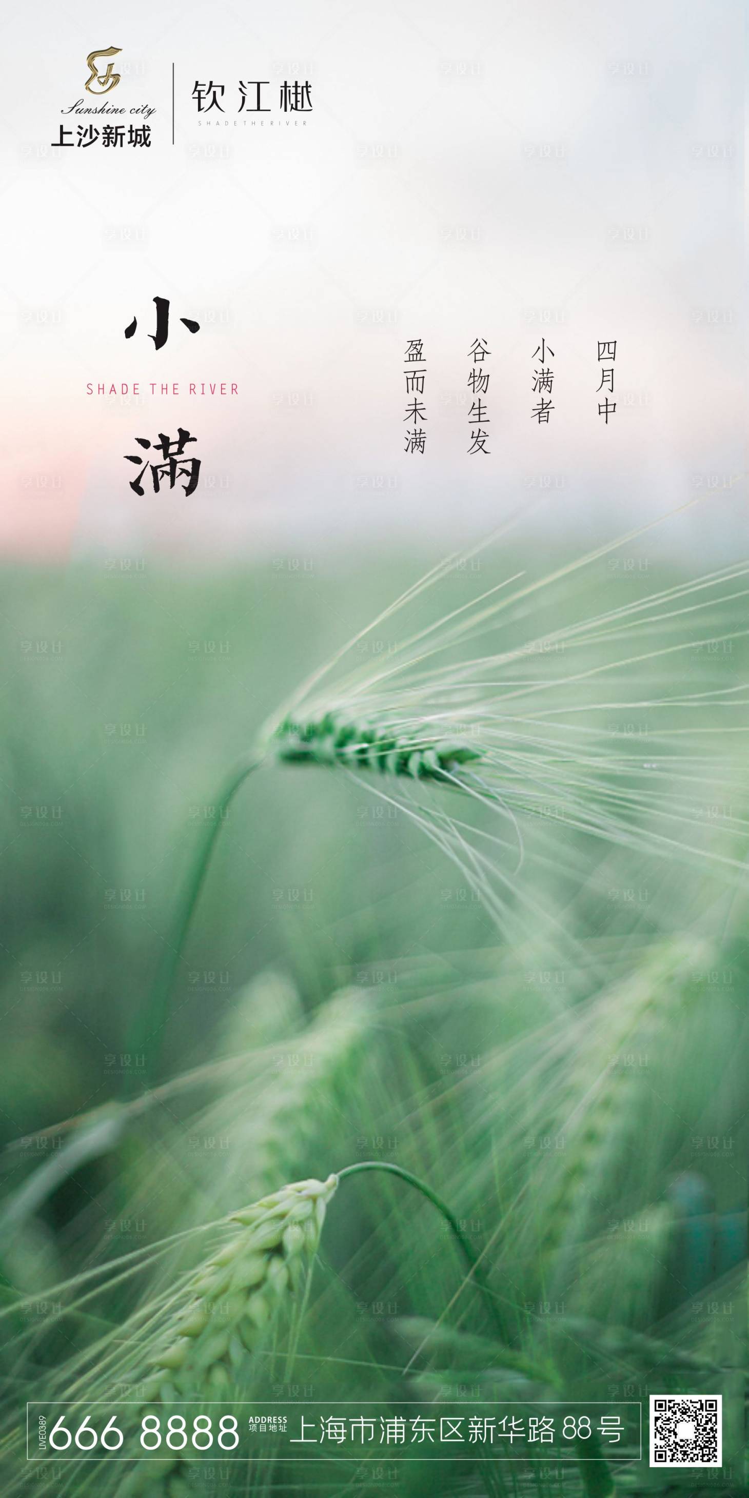 源文件下载【小满节气移动端海报】编号：81030000908091349
