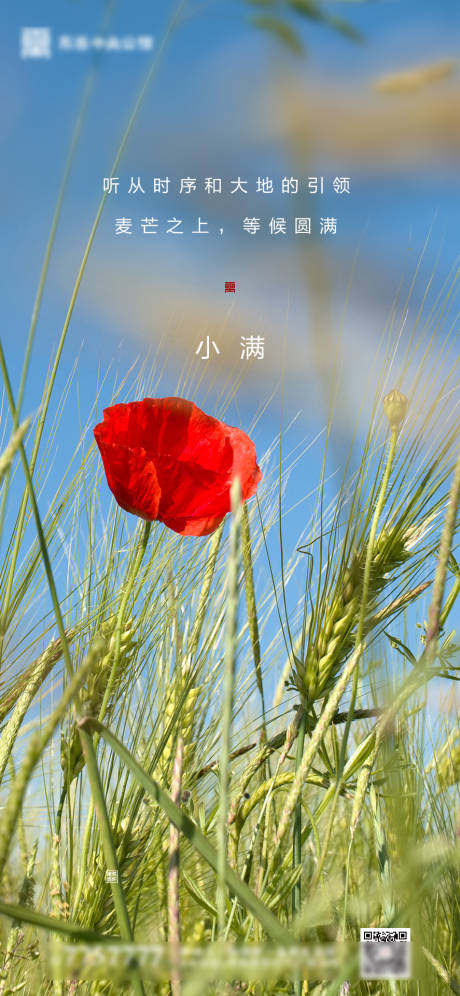 源文件下載【享設計】搜索編號：54910000854941042【地產小滿節氣海報】