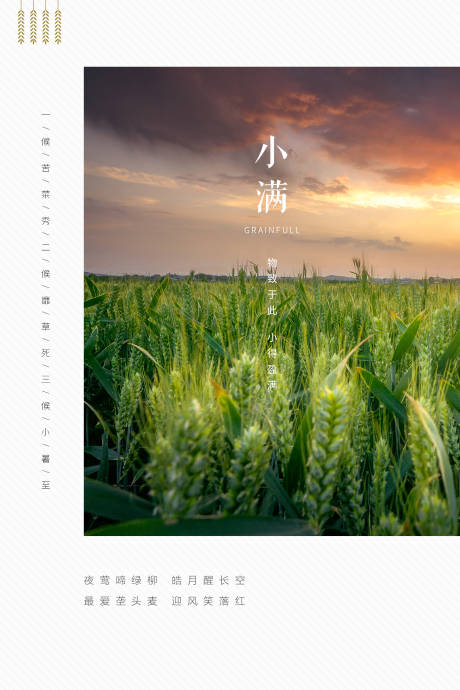 源文件下载【小满节气移动端海报】编号：24690000915307498