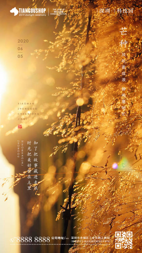 源文件下载【房地产二十四节气芒种海报】编号：53280001008393736