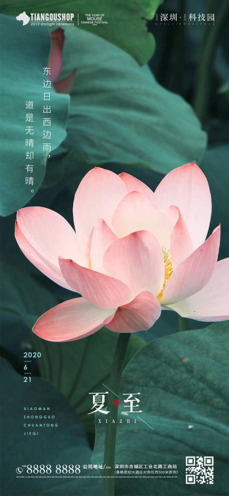 源文件下載【房地產二十四節氣夏至海報】編號：38290000904329821