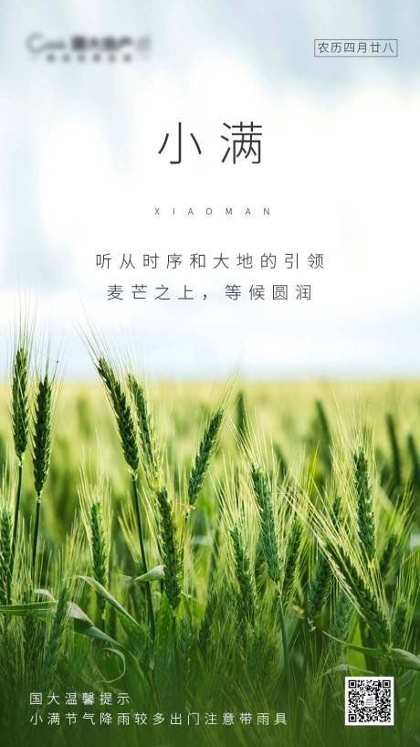 源文件下载【小满节气海报】编号：28620000898554836