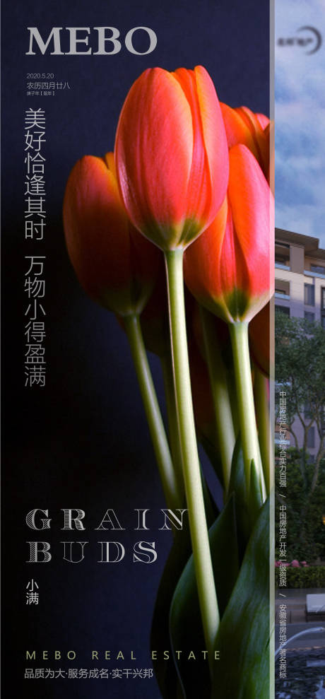 源文件下载【小满节气海报】编号：90590000905976687