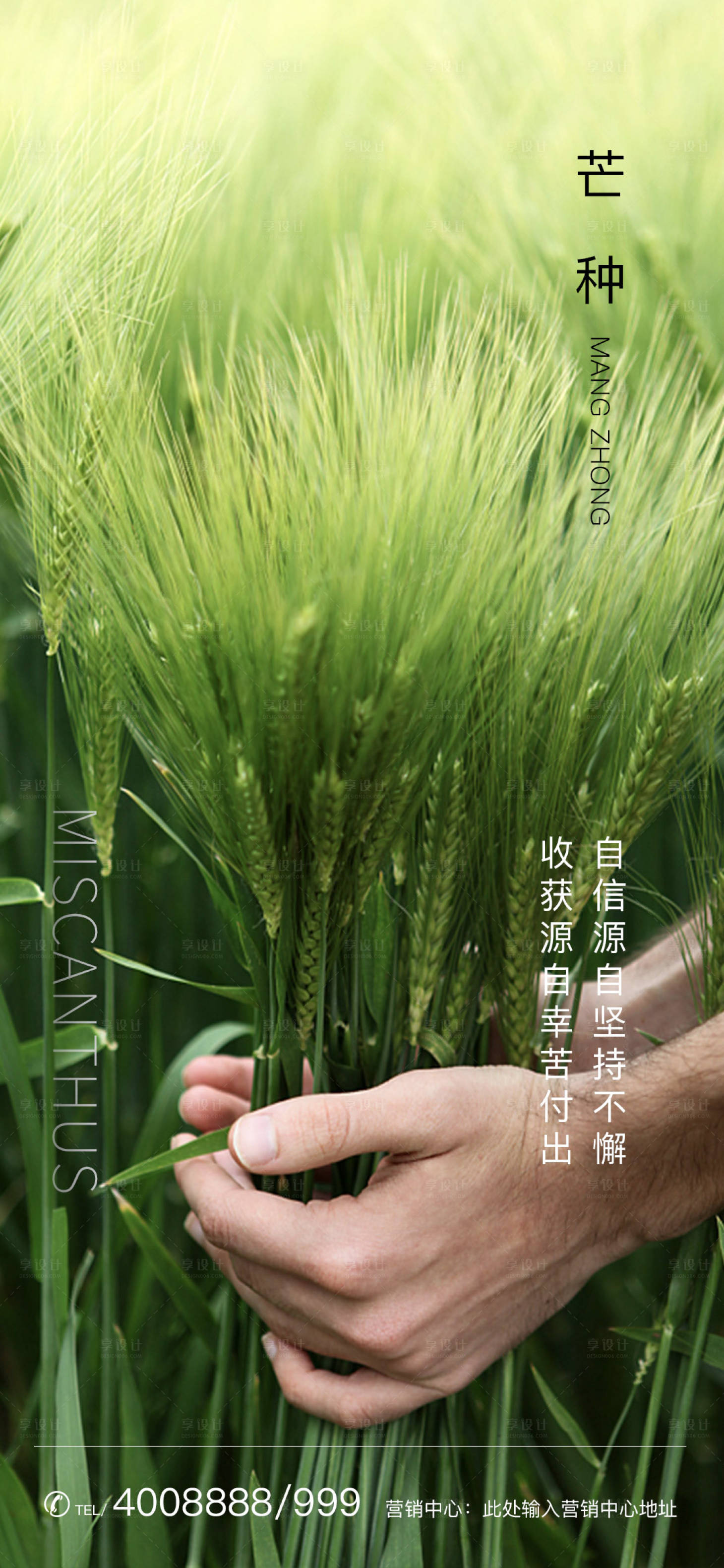 源文件下载【享设计】搜索编号：64470001028268252【地产芒种节气海报】