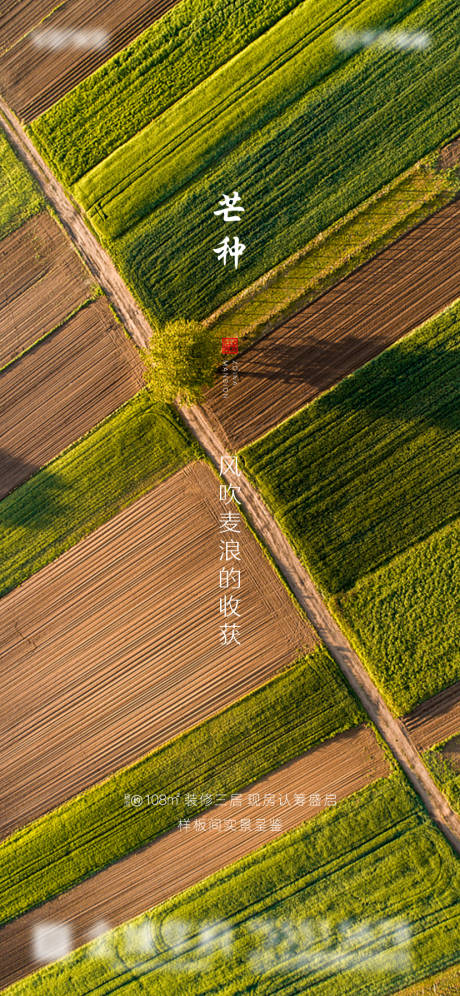 源文件下载【芒种地产微信移动端海报】编号：81030001018711152