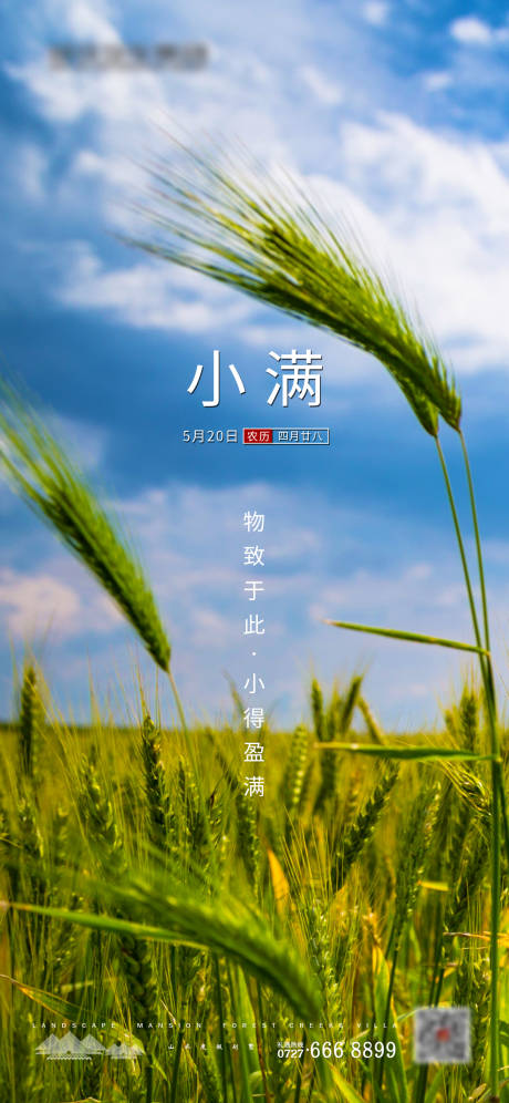 源文件下载【小满节气移动端海报】编号：35240000915905004