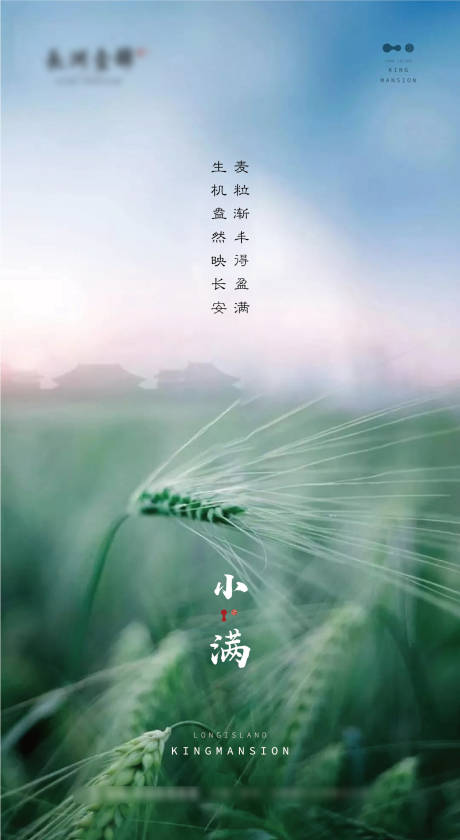 源文件下载【二十四节气小满海报】编号：89480000879858825