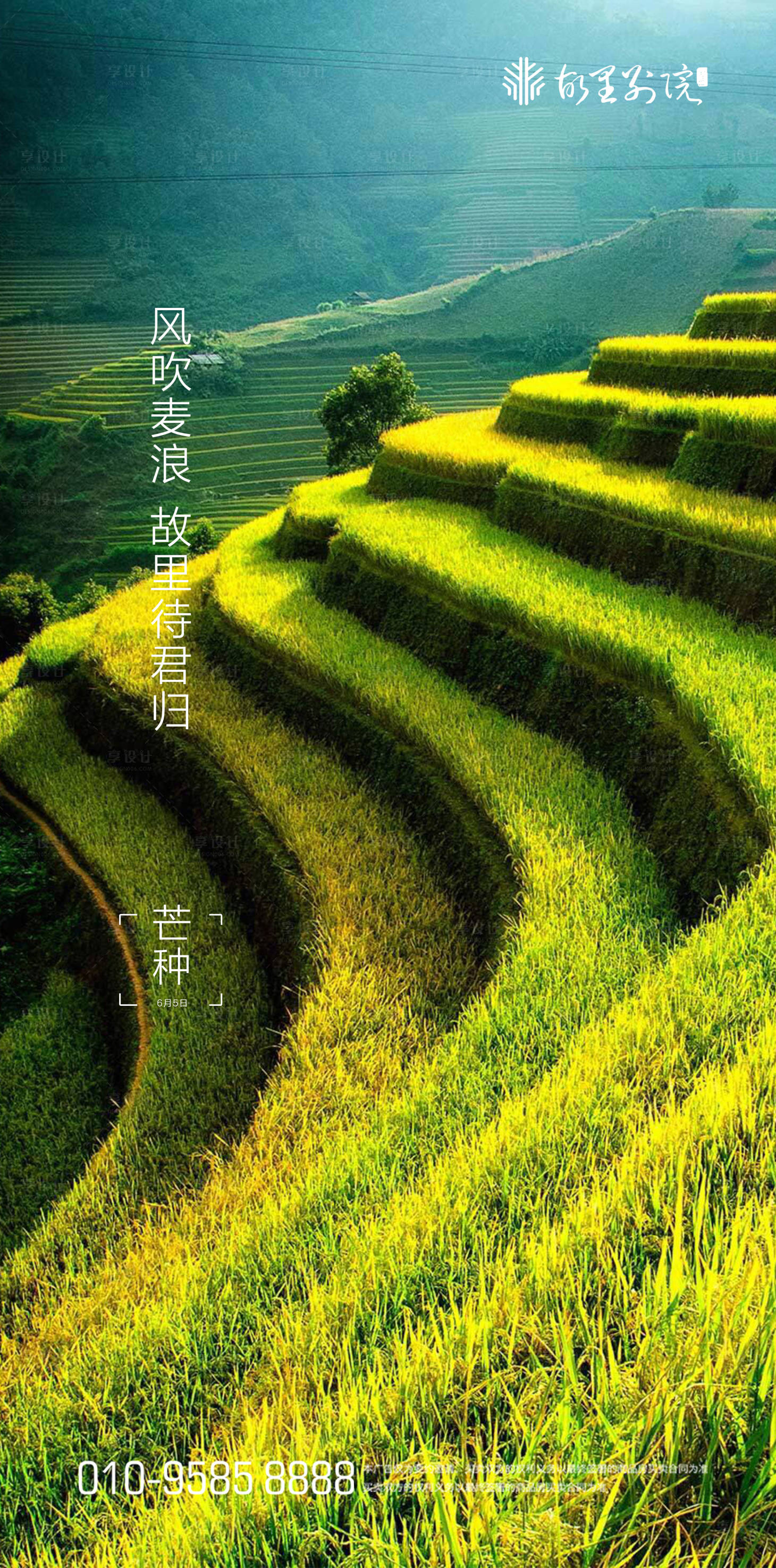 源文件下載【享設計】搜索編號：33580000899825246【芒種微信  】