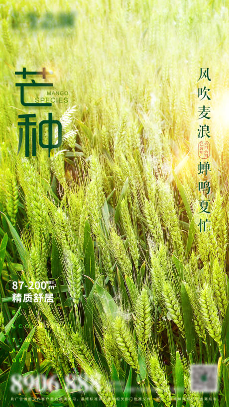 源文件下载【享设计】搜索编号：52550001003578658【地产芒种节气移动端海报】
