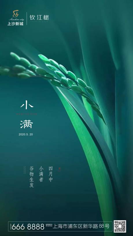 源文件下载【小满节气移动端海报】编号：79790000908149600
