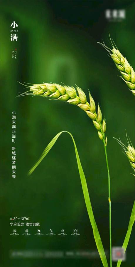 源文件下载【地产小满节气海报】编号：20170001220188920