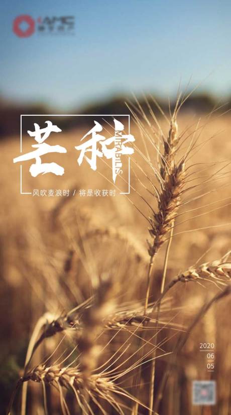 源文件下载【芒种节气移动端海报】编号：38180001065454314