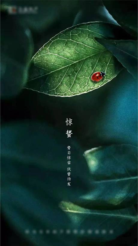 源文件下載【享設計】搜索編號：72680001193321485【驚蟄節氣海報】