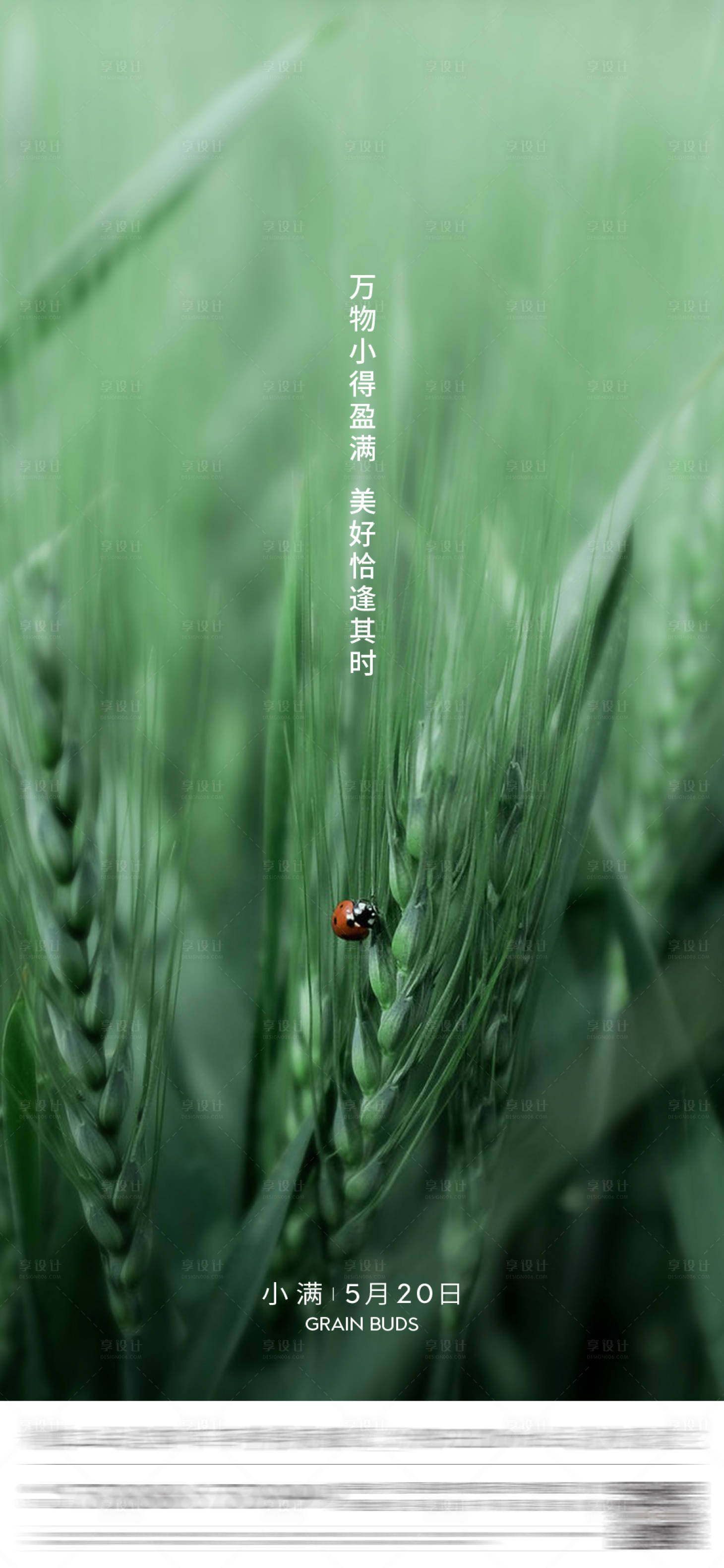 源文件下载【小满节气海报】编号：62130001041004654